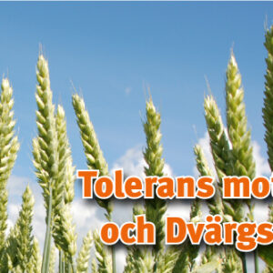 Etana