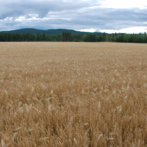 Mainio Norrland & omr G