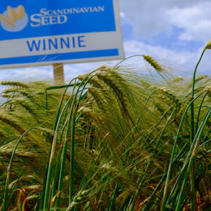 Winnie (6r)